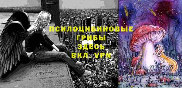 прущая мука Пересвет