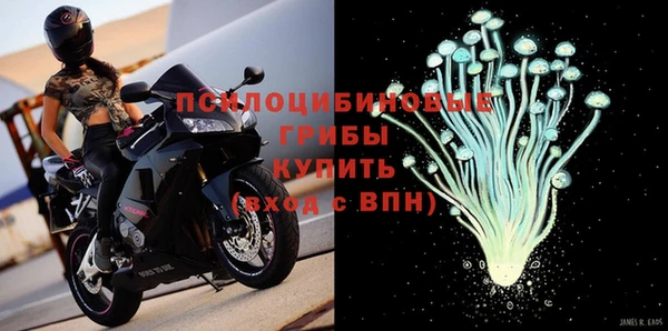 Альфа ПВП Пестово