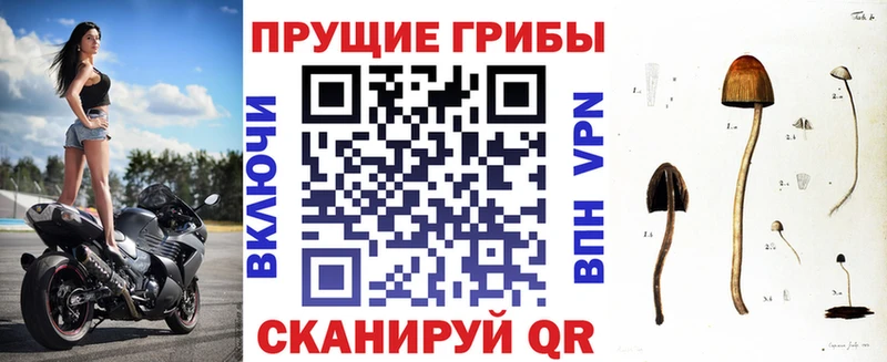 omg ссылки  даркнет сайт  Яранск  Псилоцибиновые грибы мухоморы 